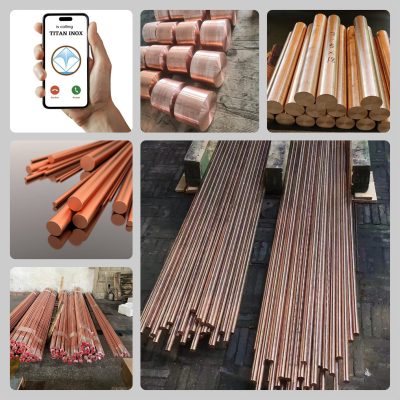 Láp Đồng Phi 310